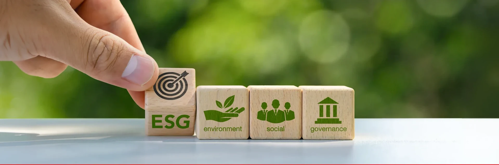 Supporting the UN Sustainable Development Goals (SDGs)