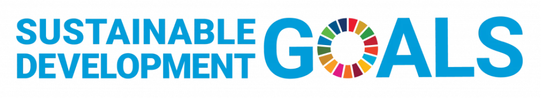 Sustainable Development Goals: SDGs